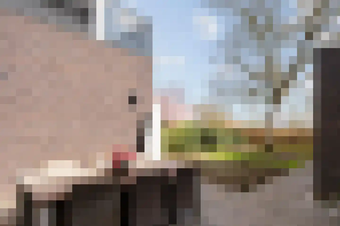 Mulderstraat 19 Echt thumbnail 47