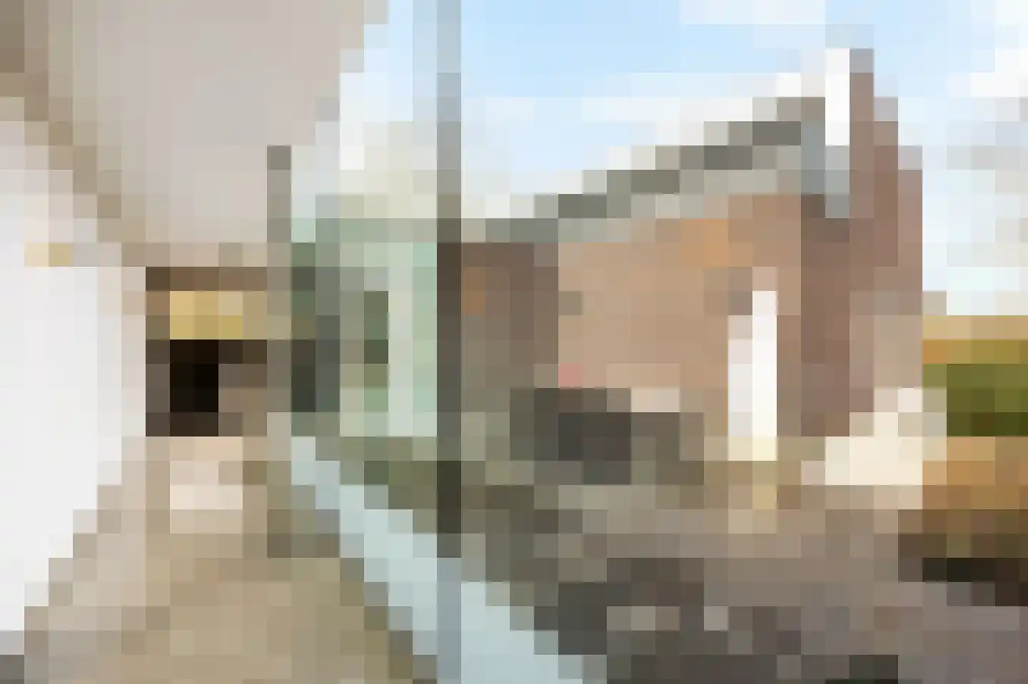 Mulderstraat 19 Echt thumbnail 48