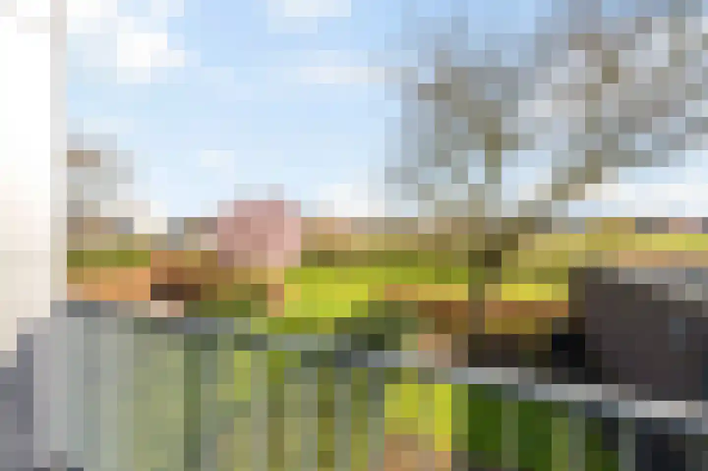 Mulderstraat 19 Echt thumbnail 58