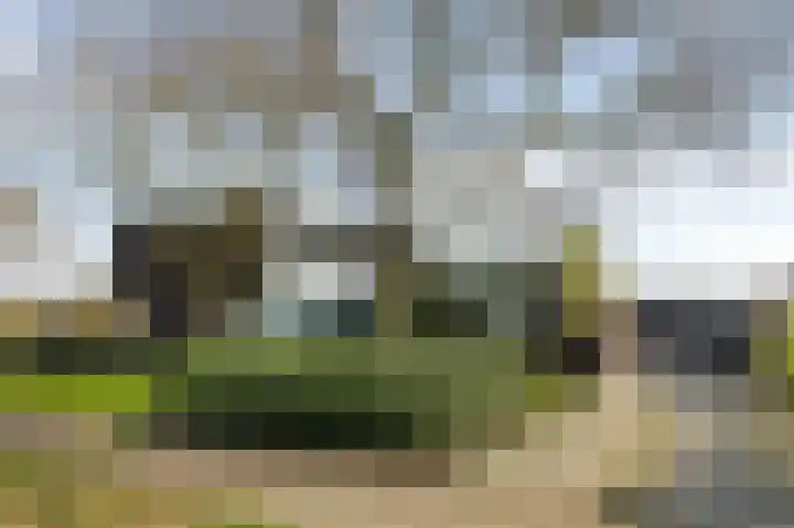 Mulderstraat 19 Echt thumbnail 7