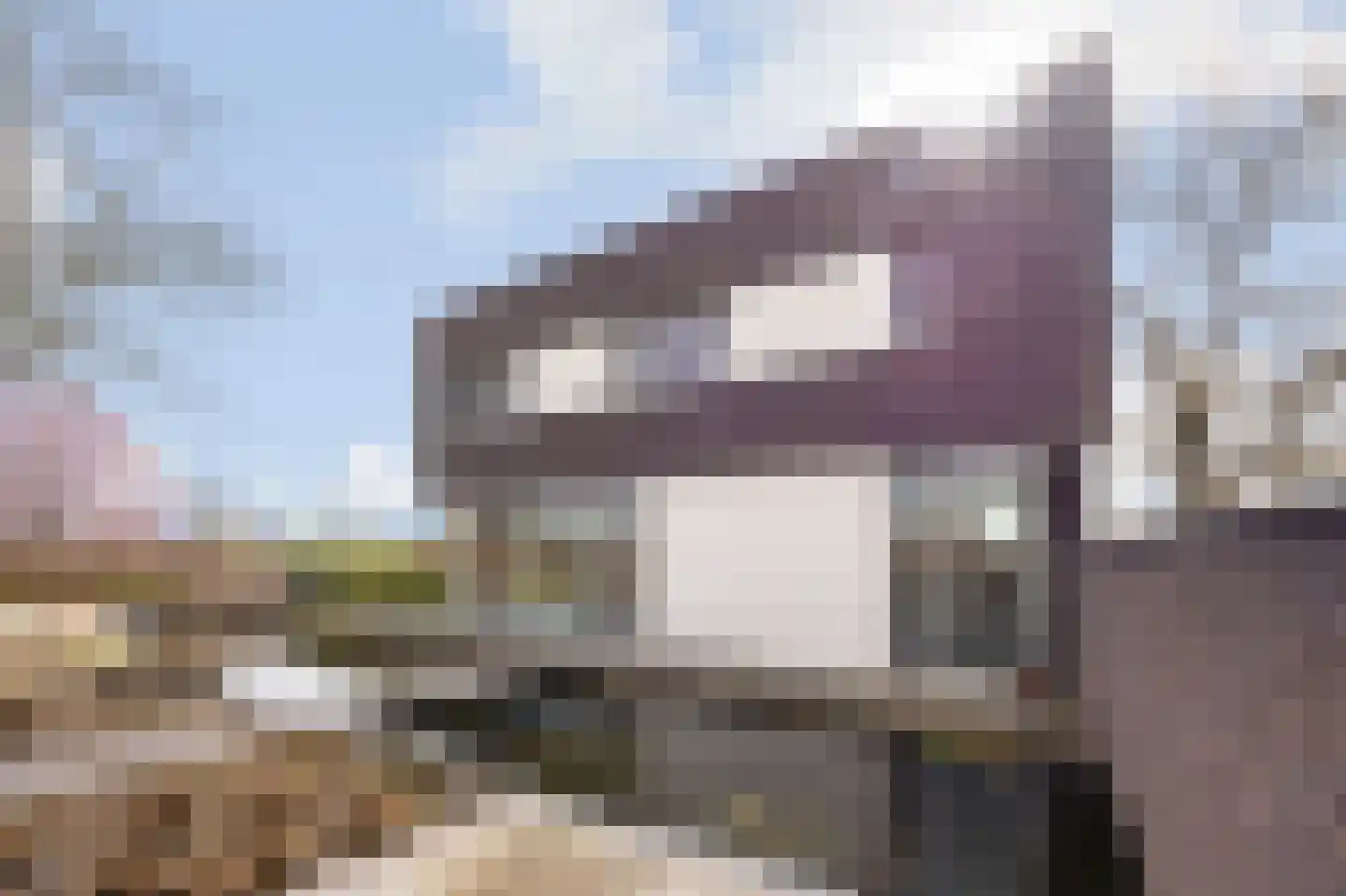 Mulderstraat 19 Echt thumbnail 74