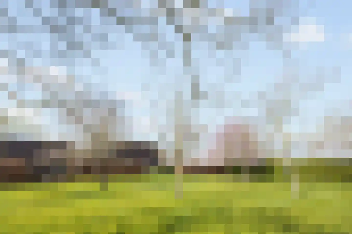 Mulderstraat 19 Echt thumbnail 76