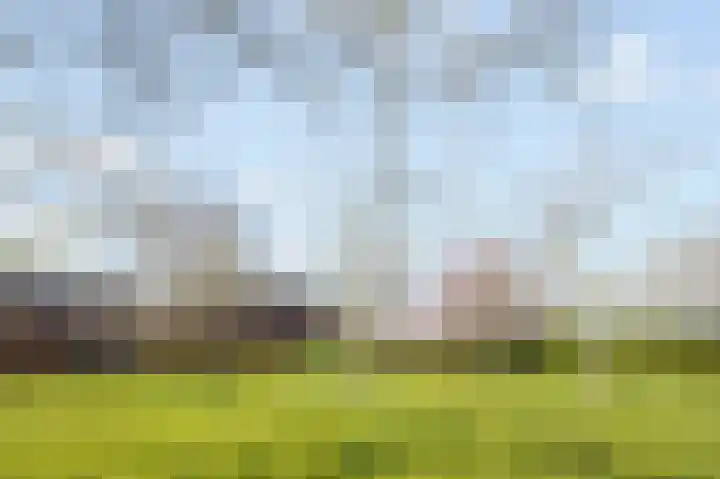 Mulderstraat 19 Echt thumbnail 76