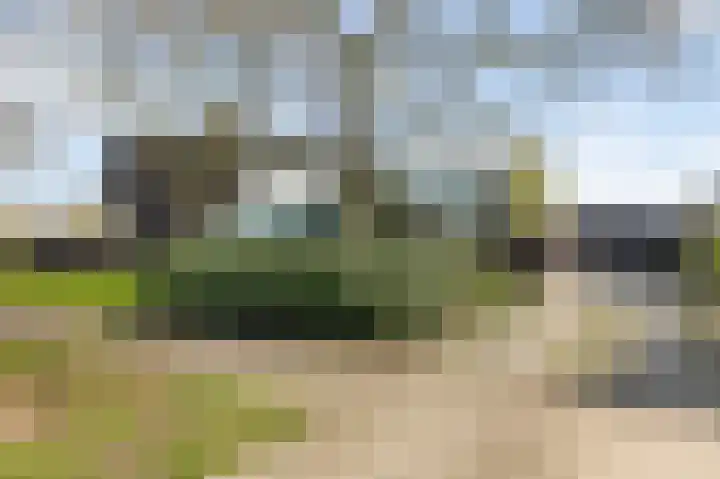 Mulderstraat 19 Echt thumbnail 8