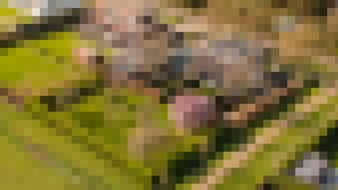 Mulderstraat 19 Echt thumbnail 81