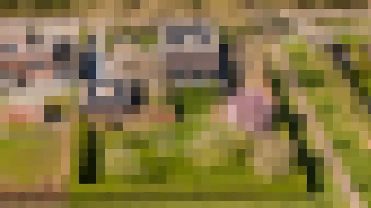 Mulderstraat 19 Echt thumbnail 82