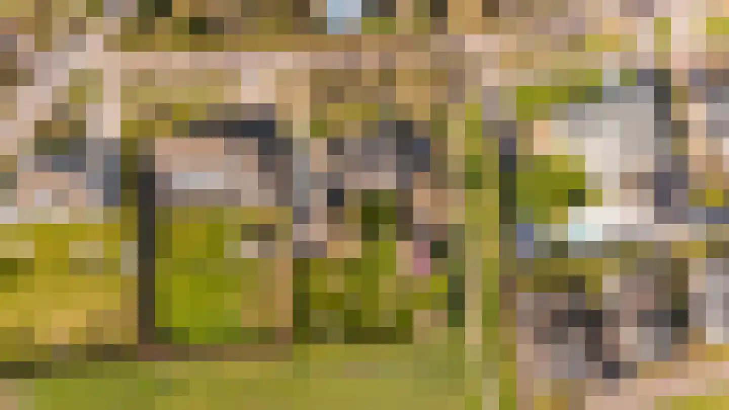 Mulderstraat 19 Echt thumbnail 87