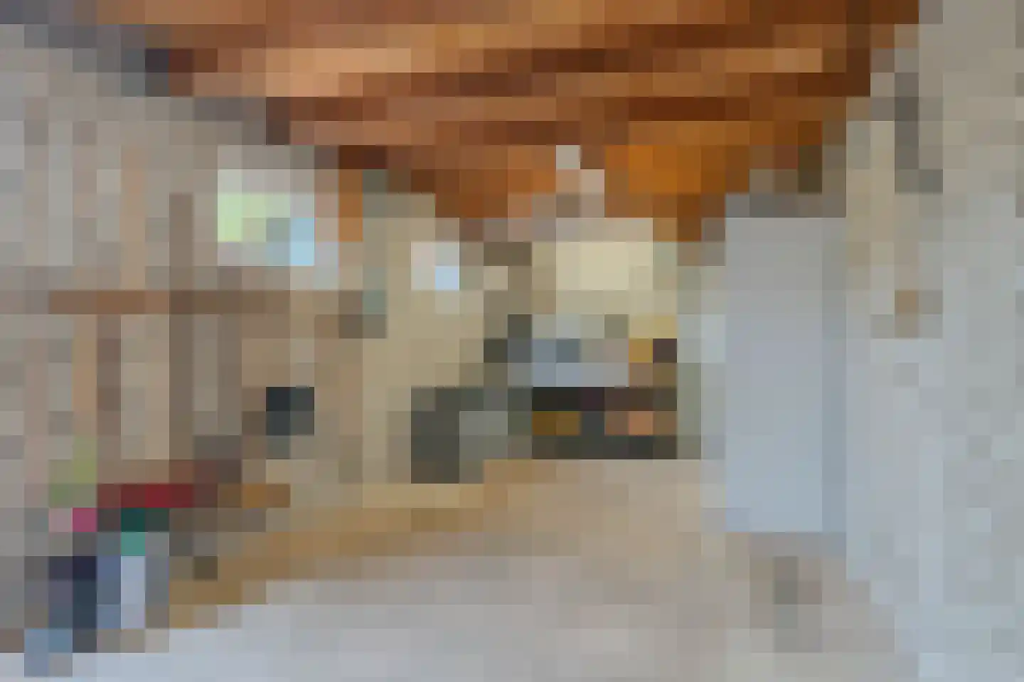 Mulderstraat 23 Sevenum thumbnail 56