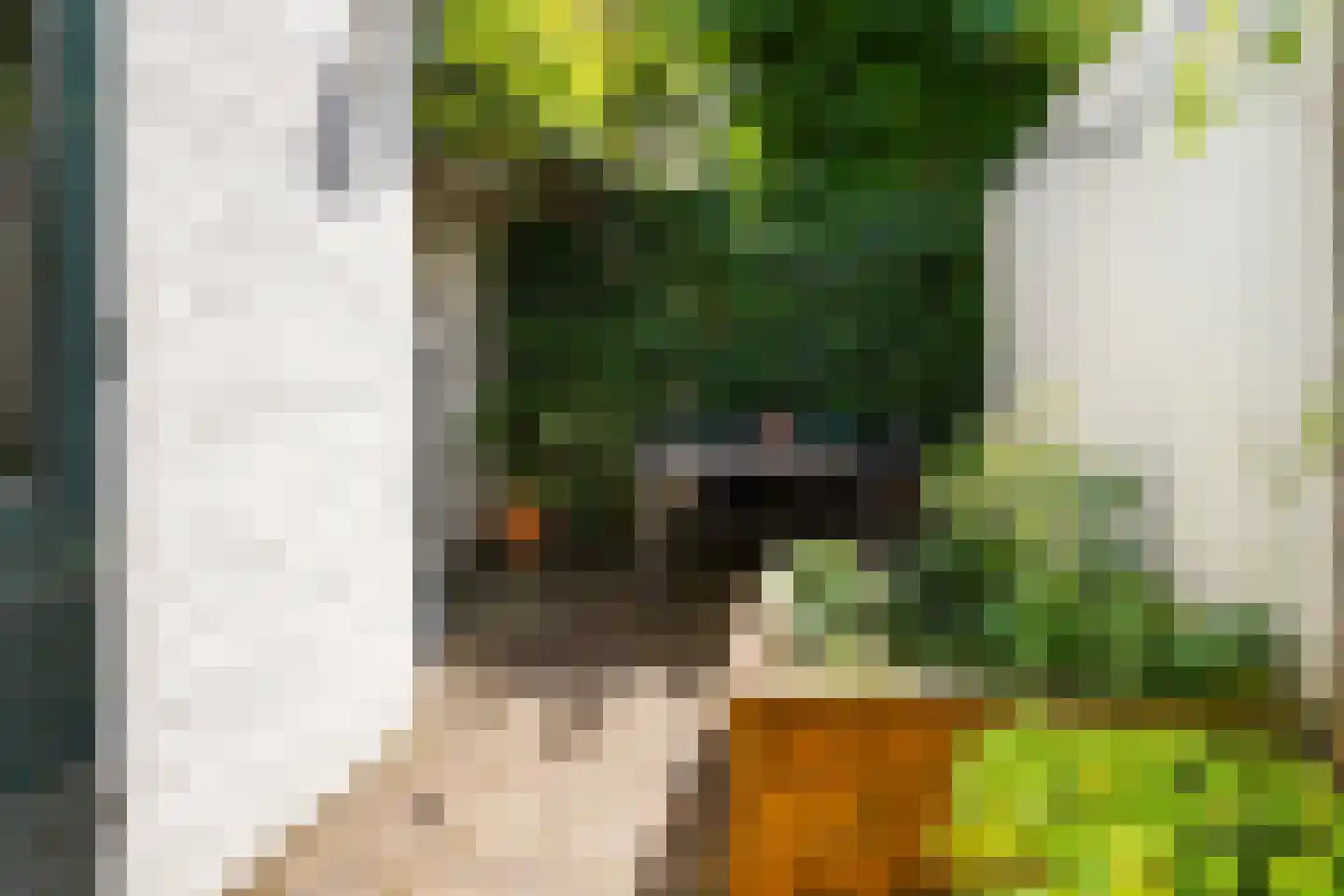 Mulderstraat 31 Utrecht thumbnail 33
