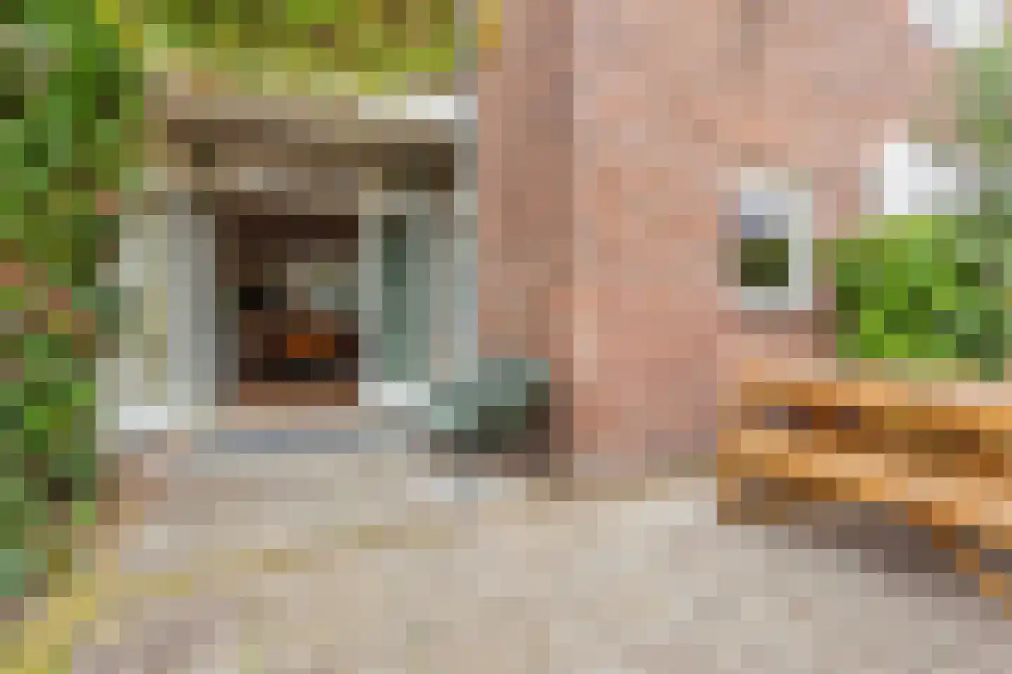 Mulderstraat 43 Utrecht thumbnail 19