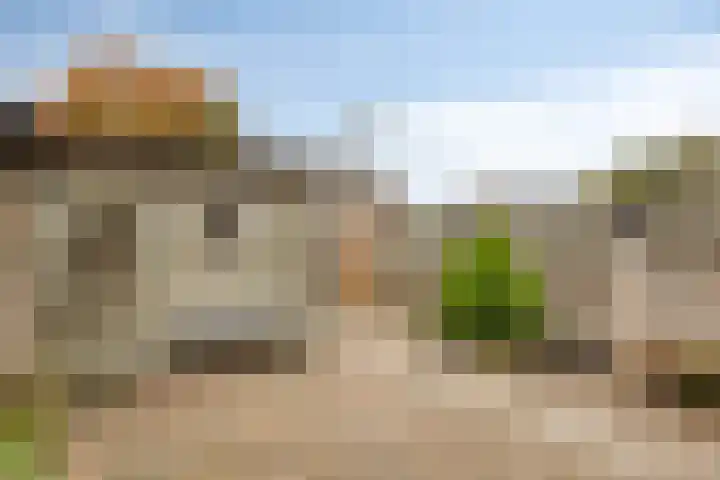 Mulderstraat 9 Geffen thumbnail 30