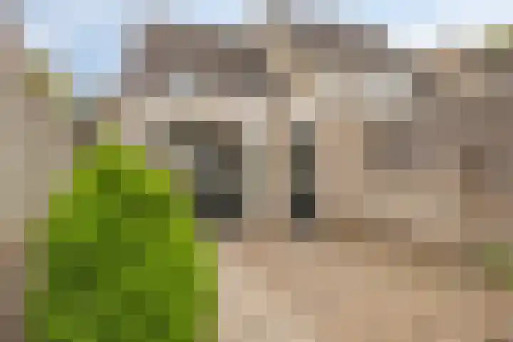 Mulderstraat 9 Geffen thumbnail 33