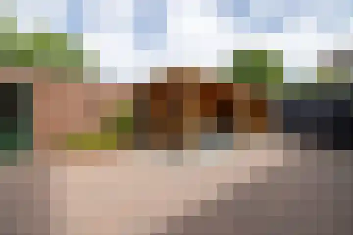 Muldersveld 12 Wehl thumbnail 19