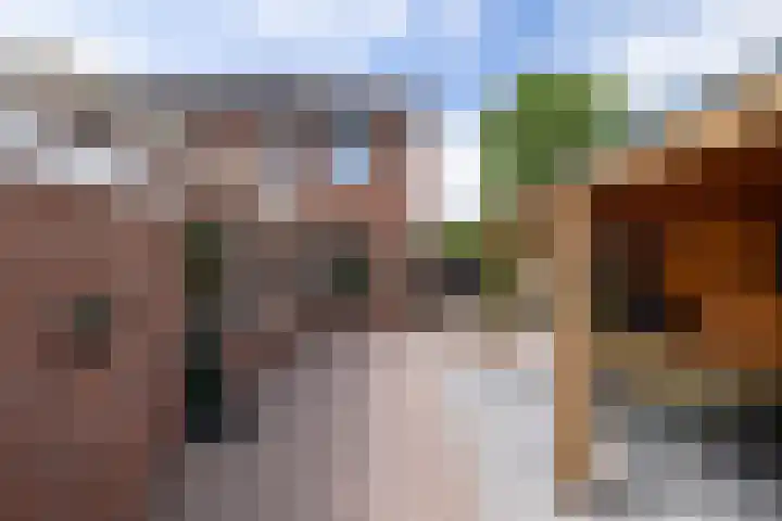 Muldersveld 12 Wehl thumbnail 22