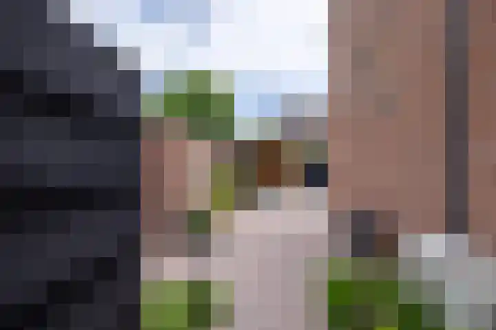 Muldersveld 12 Wehl thumbnail 25