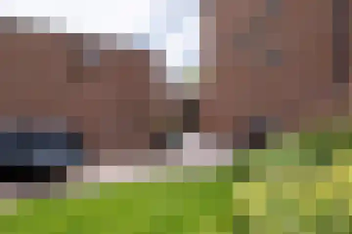 Muldersveld 12 Wehl thumbnail 27