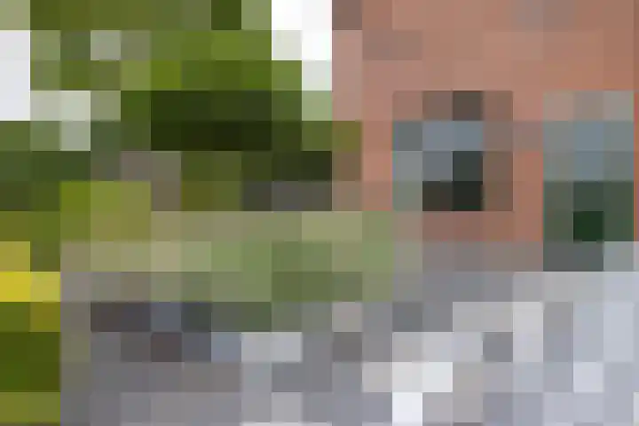 Muldersveld 12 Wehl thumbnail 32