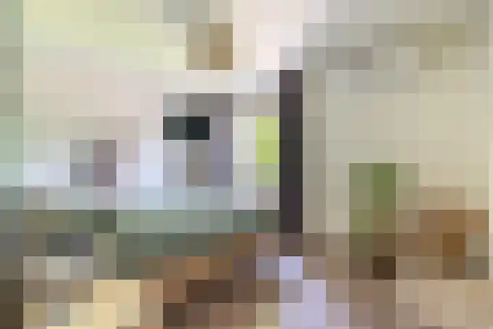 Muldersveld 12 Wehl thumbnail 37