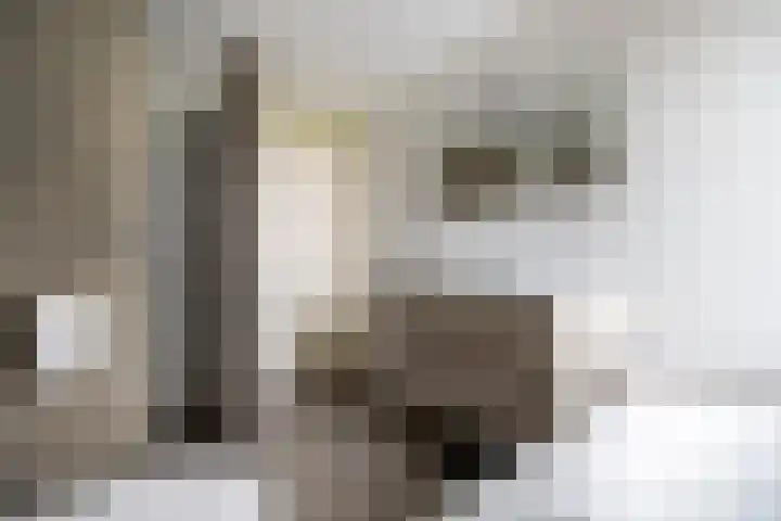 Muldersveld 12 Wehl thumbnail 46