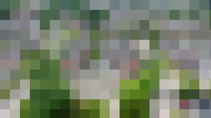 Muldersveld 12 Wehl thumbnail 55