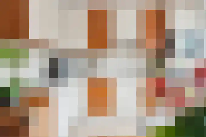 Muldersveld 14 Wehl thumbnail 15