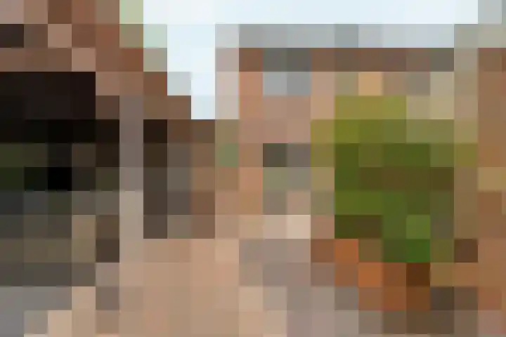 Muldersveld 14 Wehl thumbnail 38