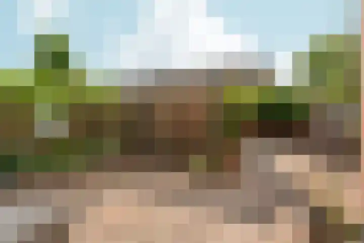 Muldersveld 14 Wehl thumbnail 43