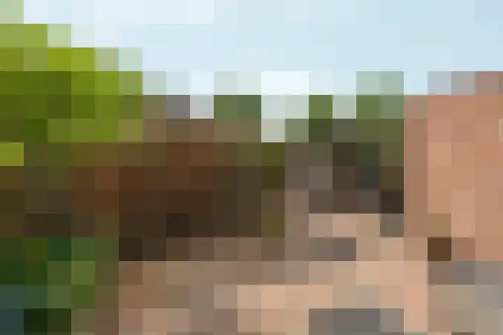 Muldersveld 14 Wehl thumbnail 44