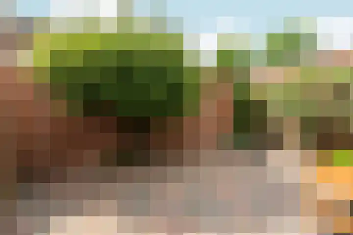 Muldersveld 14 Wehl thumbnail 45