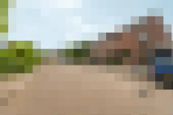 Muldersveld 14 Wehl thumbnail 47