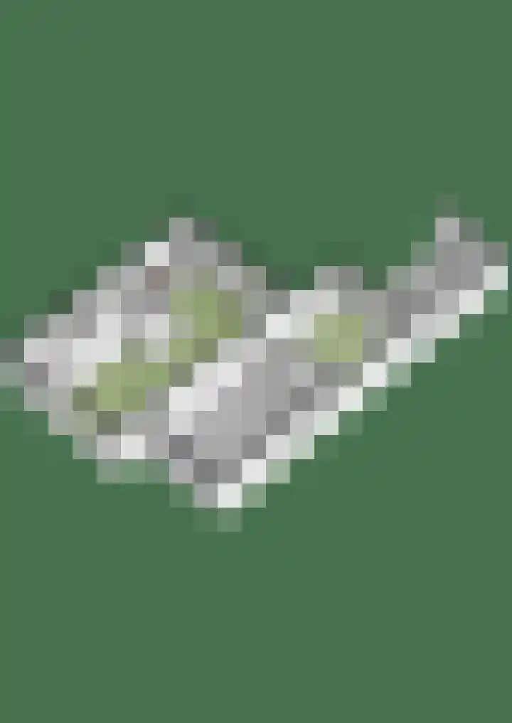 Muldersveld 14 Wehl thumbnail 49