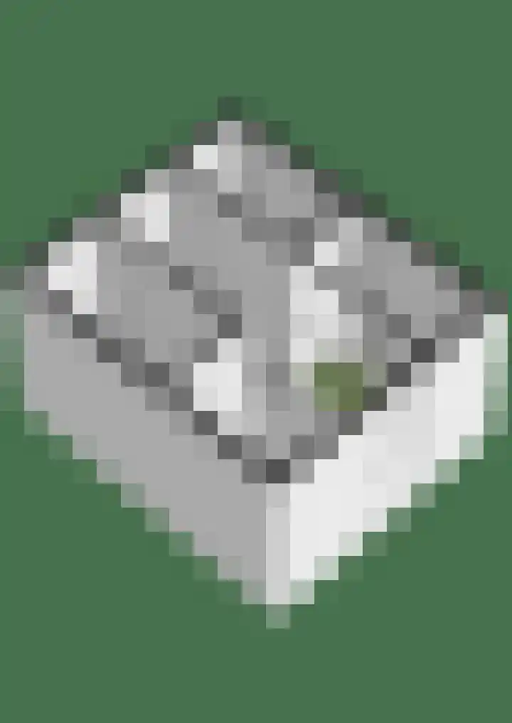 Muldersveld 14 Wehl thumbnail 55