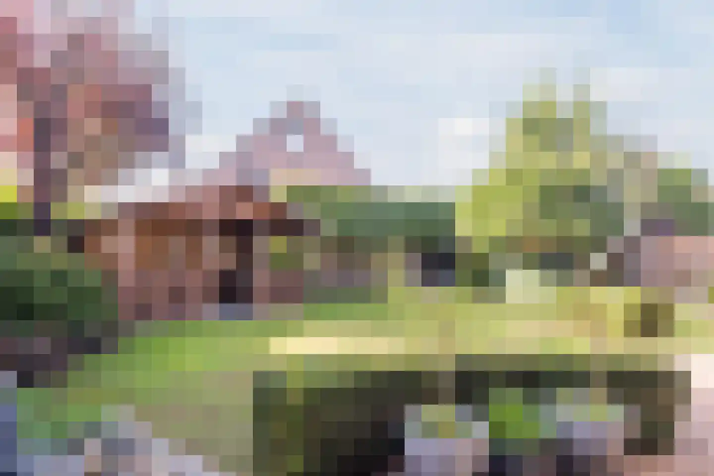 Muldersveld 20 Erp thumbnail 45