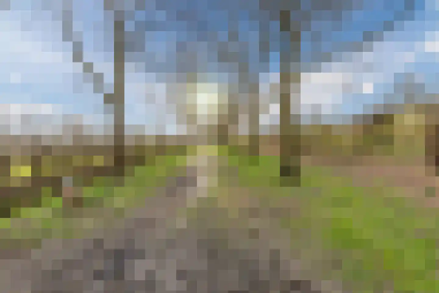 Muldersveld 20 Erp thumbnail 58