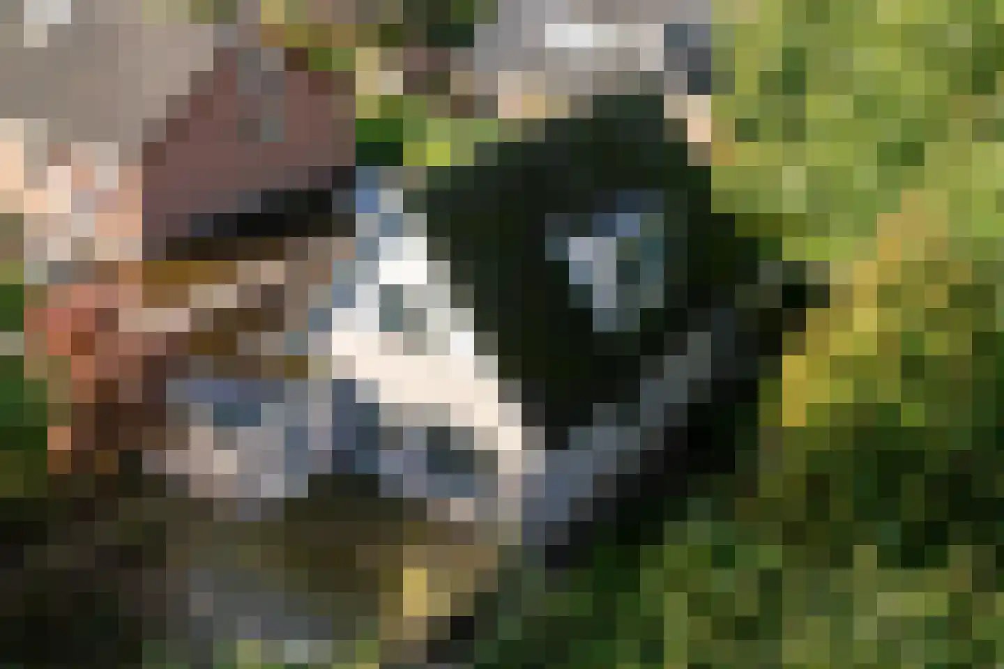 Muldersveld 27 Wehl thumbnail 37