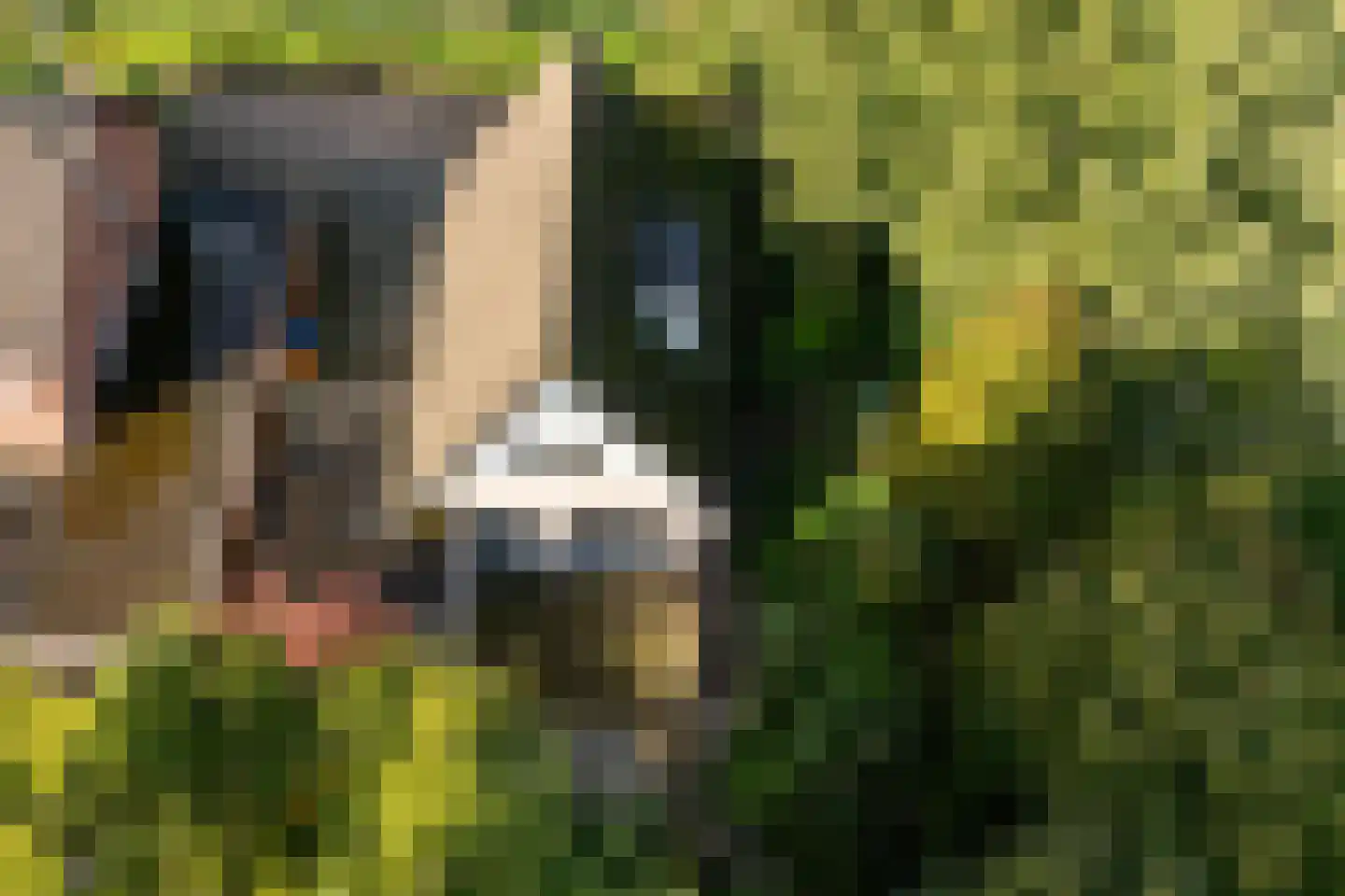 Muldersveld 27 Wehl thumbnail 38
