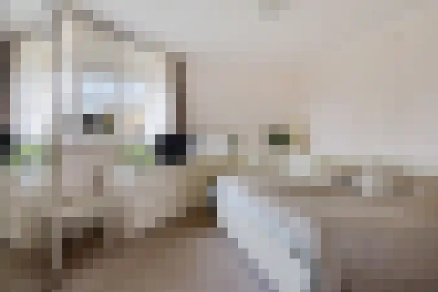 Muldersweg 10 Delden thumbnail 30