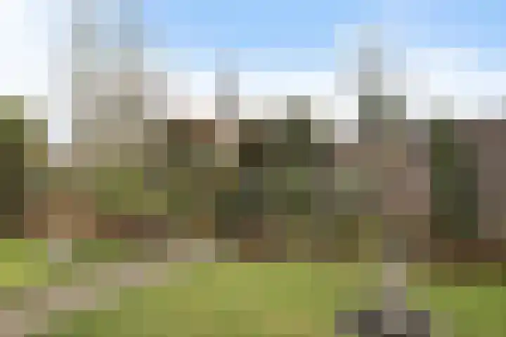 Muldersweg 10 Delden thumbnail 52