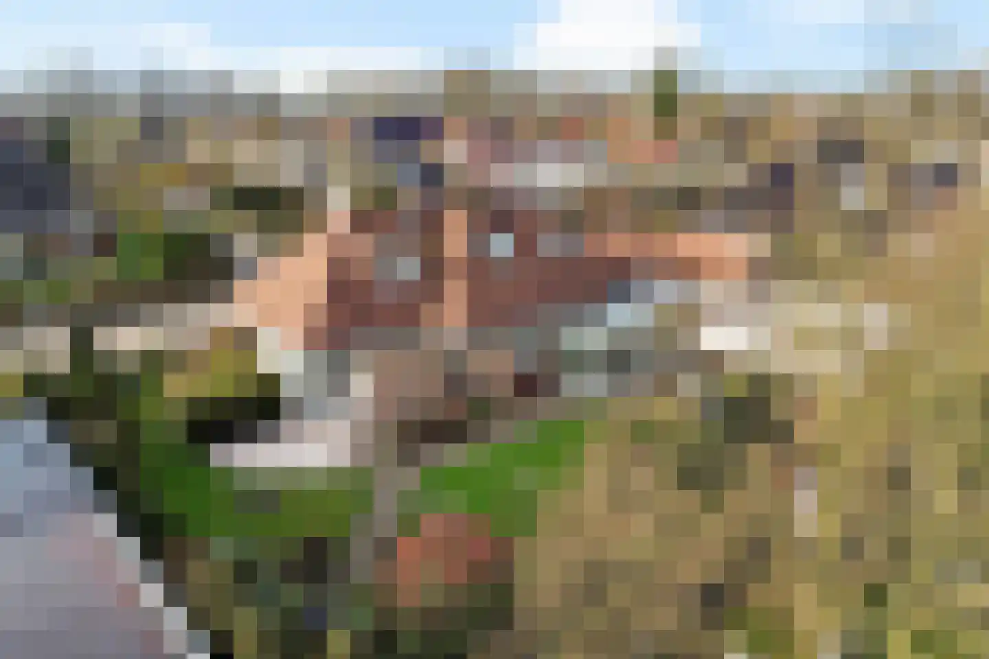 Muldersweg 10 Delden thumbnail 54