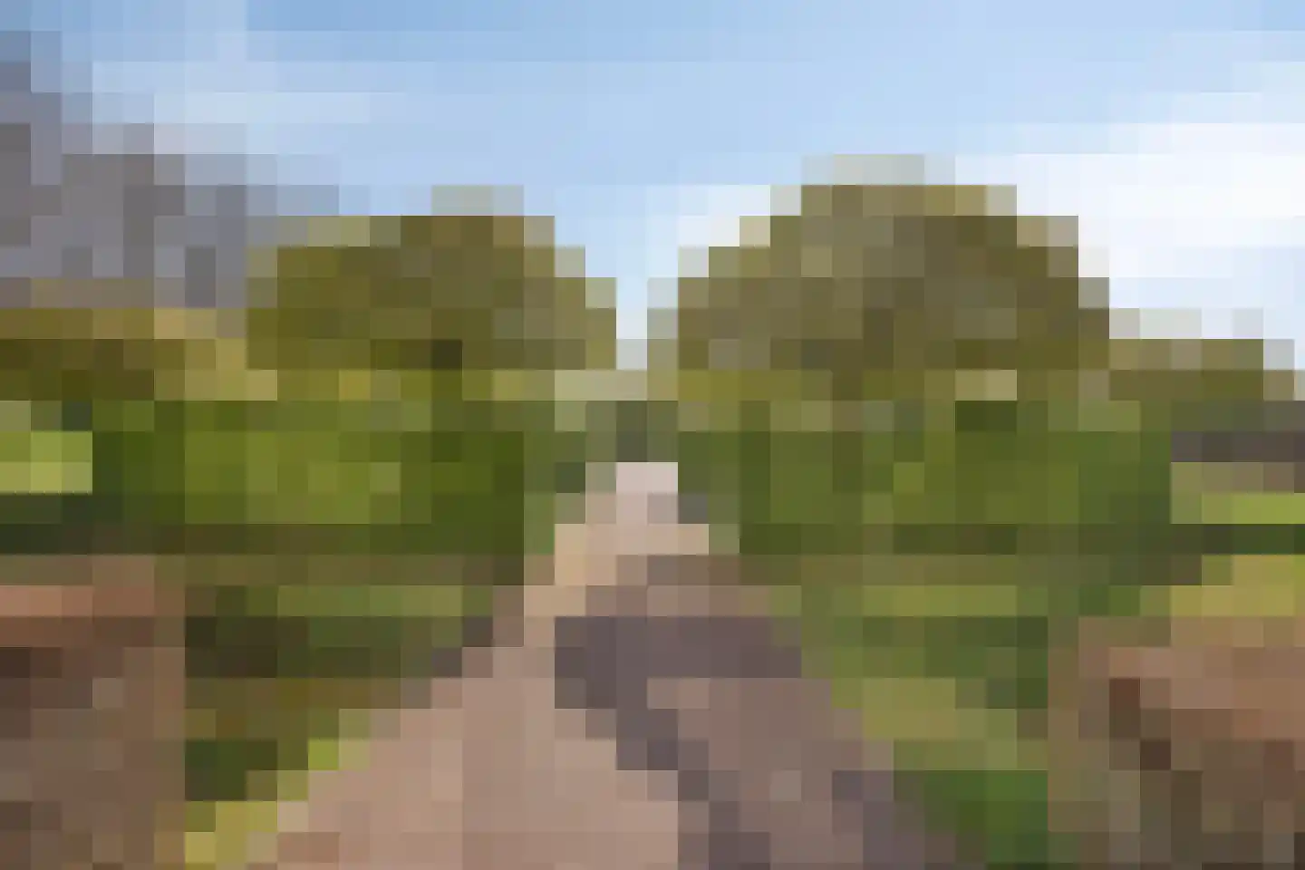 Muldersweg 103 Nijmegen thumbnail 30