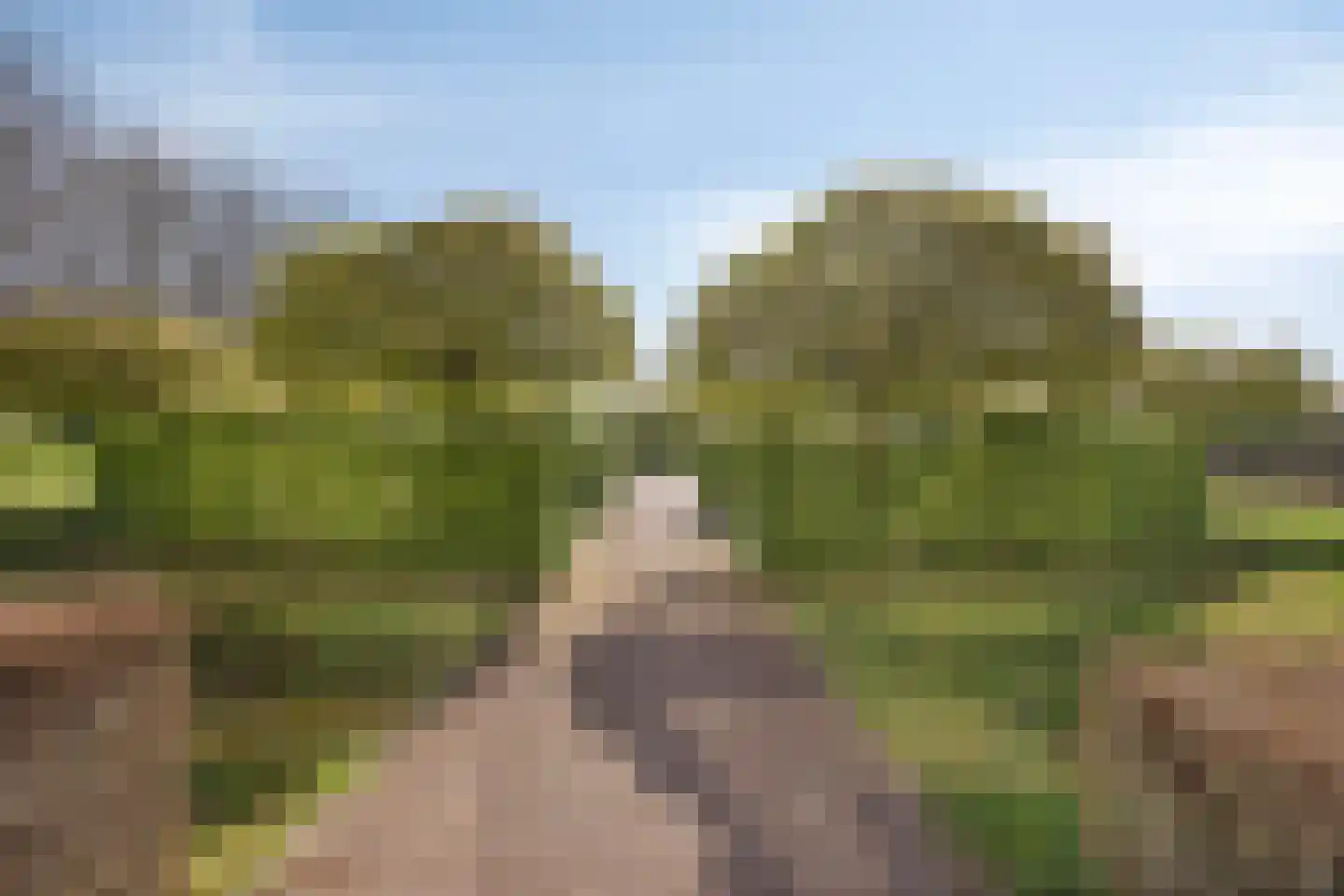 Muldersweg 103 Nijmegen thumbnail 31