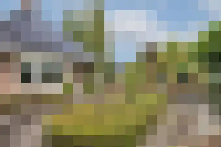 Muldersweg 12 Delden thumbnail 52