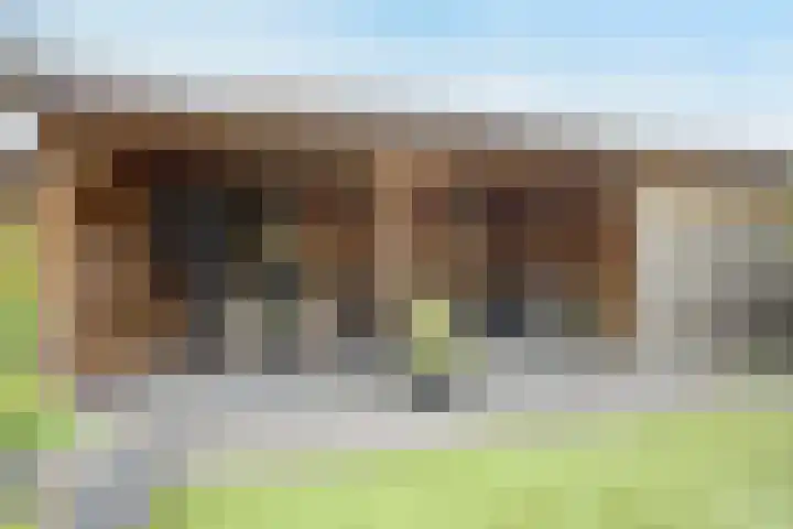 Muldersweg 136 Etten-Leur thumbnail 38