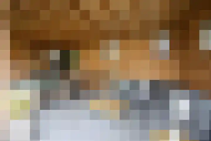 Muldersweg 136 Etten-Leur thumbnail 39