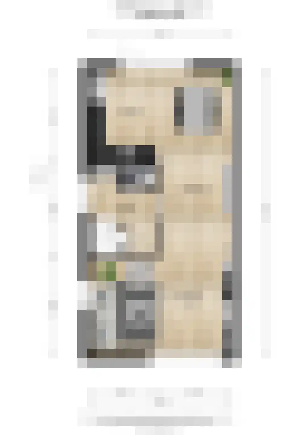 Muldersweg 150 Etten-Leur thumbnail 48
