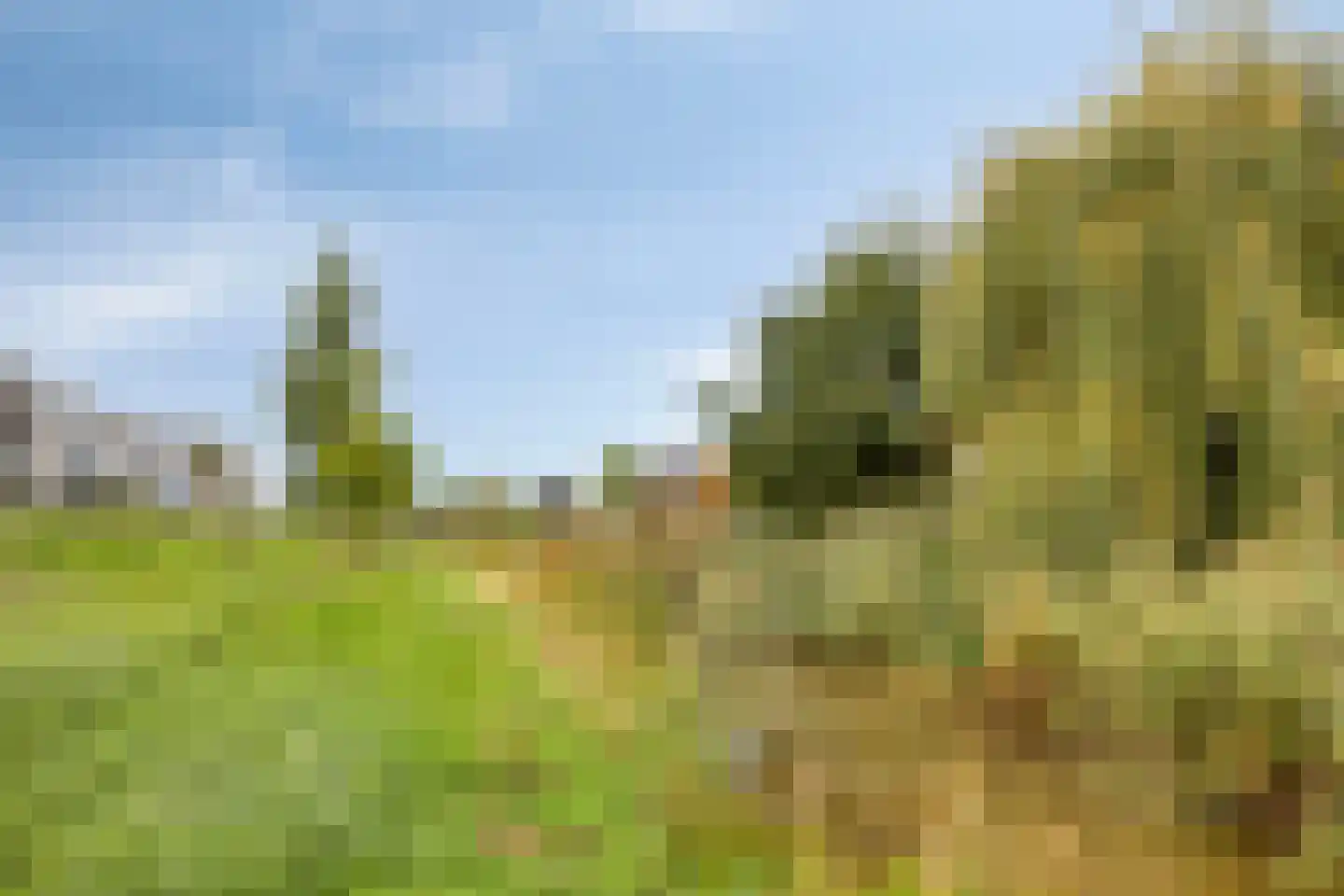 Muldersweg 156 Etten-Leur thumbnail 50