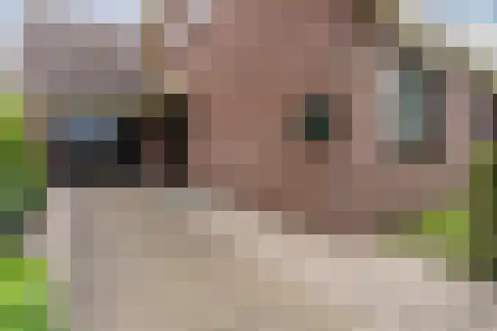 Muldersweg 27 Staphorst thumbnail 5