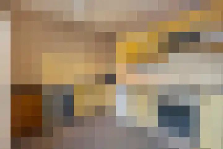 Mulertkamp 32 Zwolle thumbnail 11