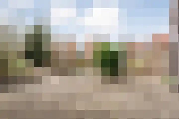 Mulertkamp 32 Zwolle thumbnail 32