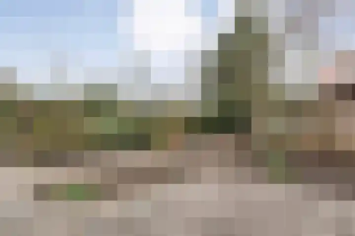 Mulertkamp 32 Zwolle thumbnail 33